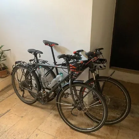 Garden אכסניה *