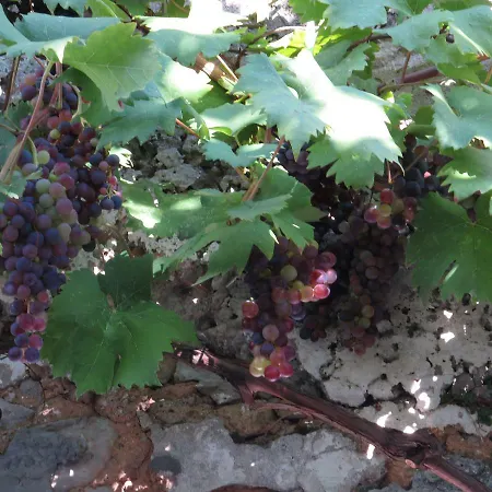 Garden Vandrerhjem Dubrovnik